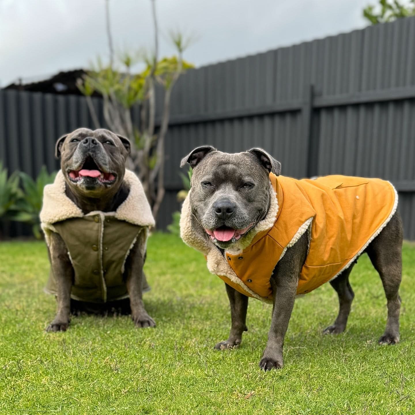 Workdog Insulated Utility Jacket Jackets - Image 11