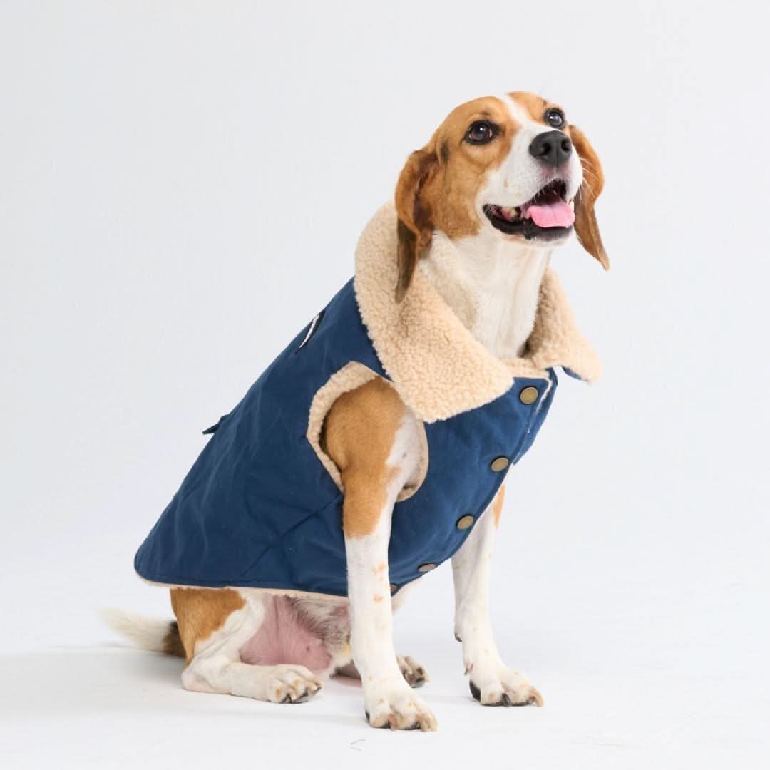 Workdog Insulated Utility Jacket Jackets - Image 4