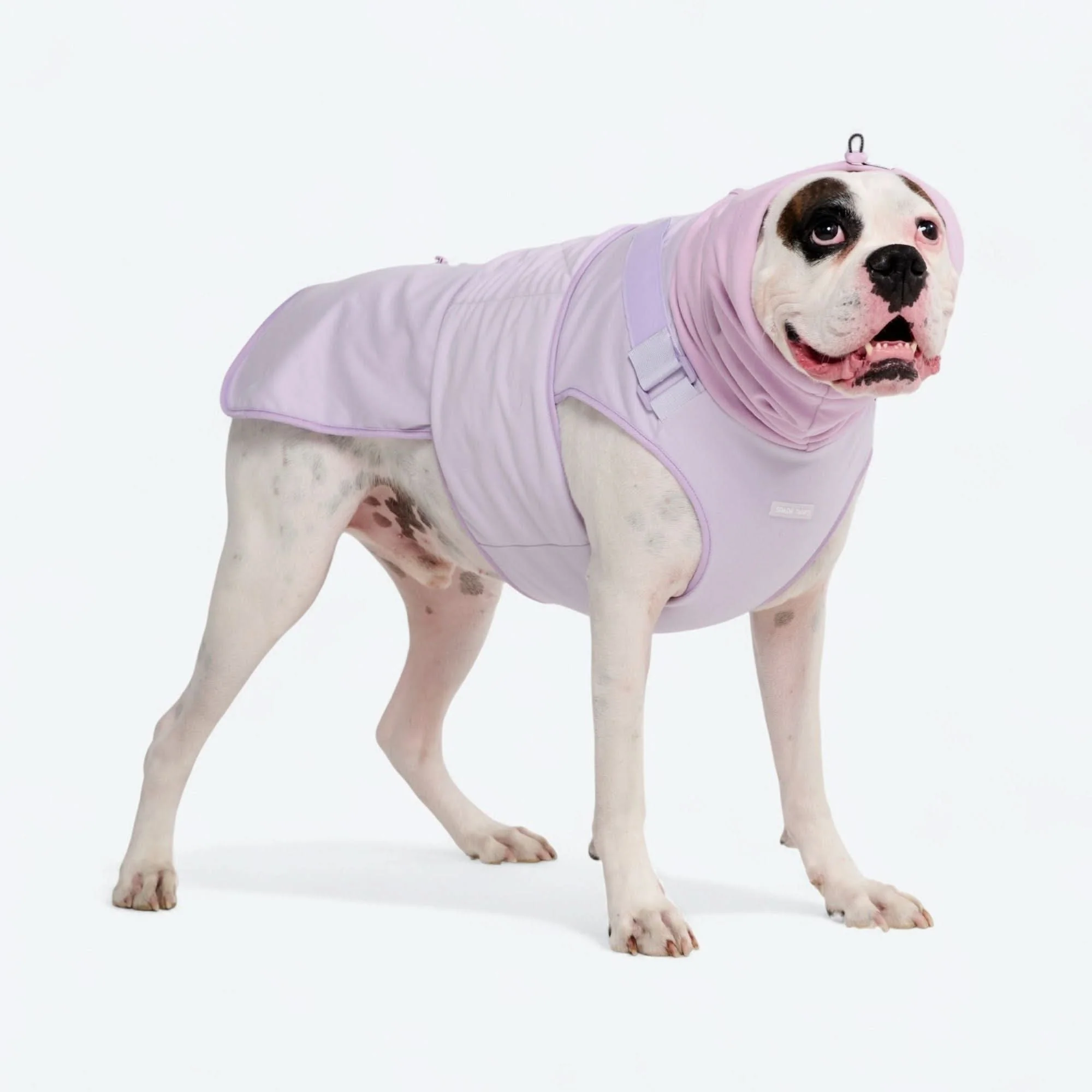 Anxiety Calming Suit - Purple - Image 3