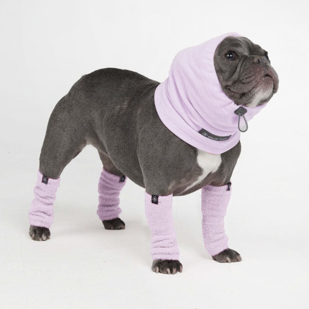 Anxiety Calming Dog Earmuff Protector - Image 5