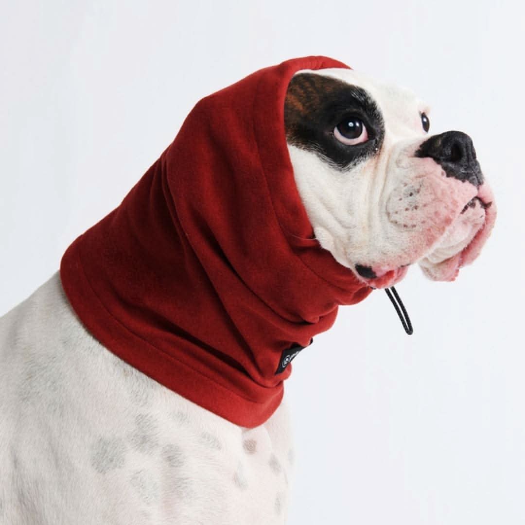 Anxiety Calming Dog Earmuff Protector - Image 8