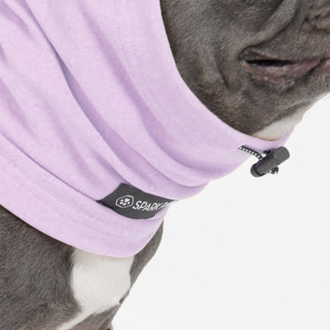 Anxiety Calming Dog Earmuff Protector - Purple - Image 3