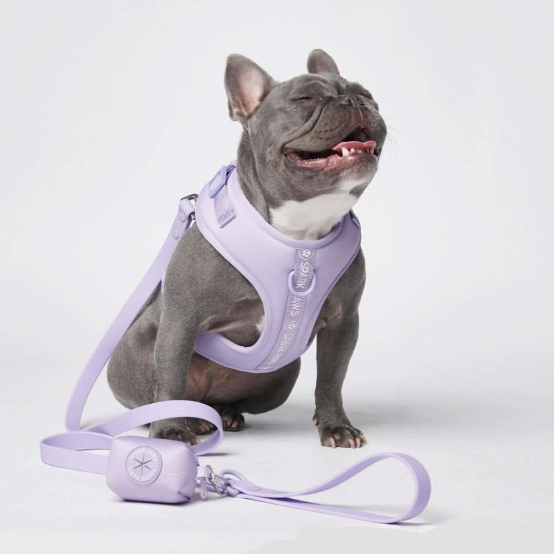 Ultra-Soft Activewear Harness Set - Lilac - Image 2