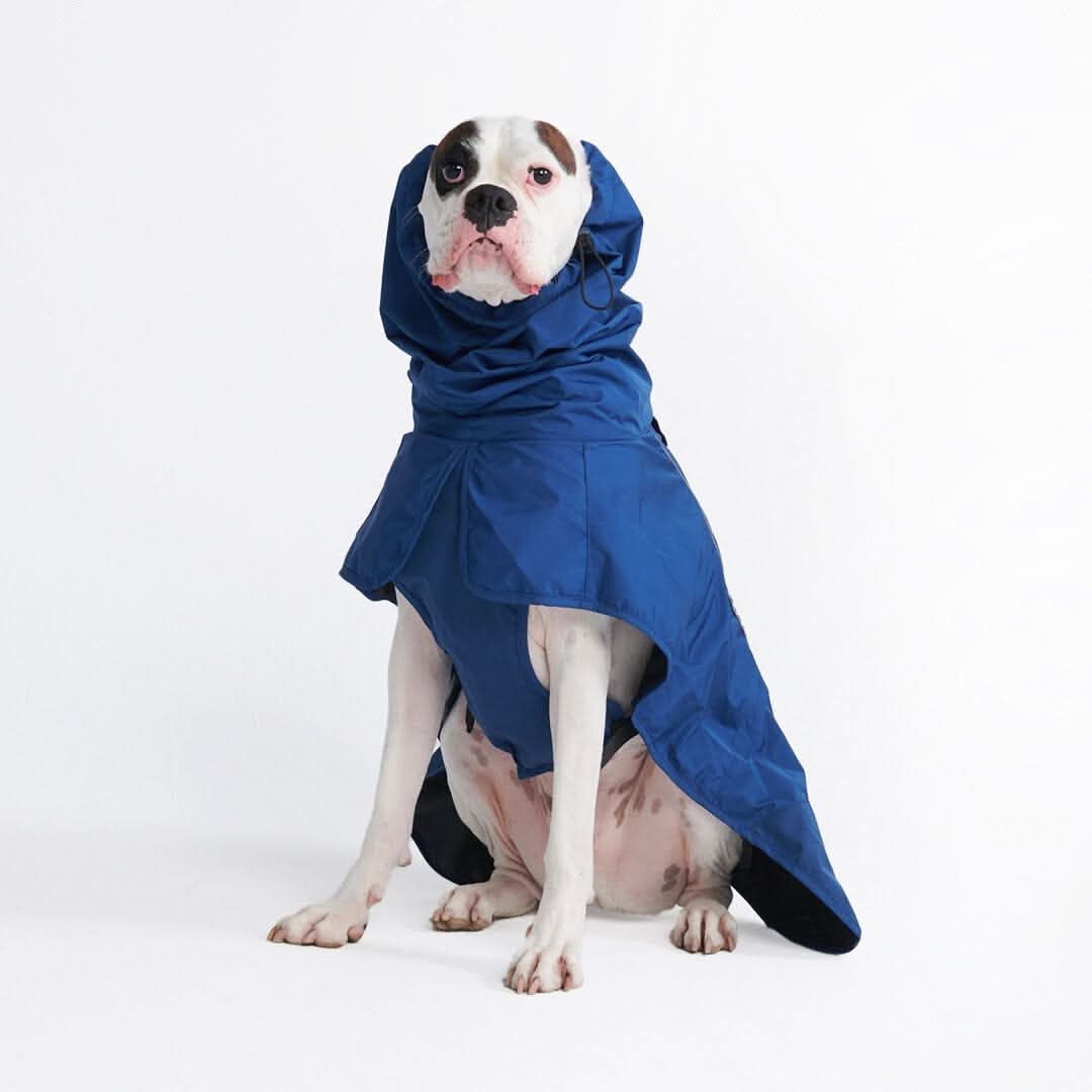 Breatheshield™ Dog Raincoat (Multi-Color) - Image 78