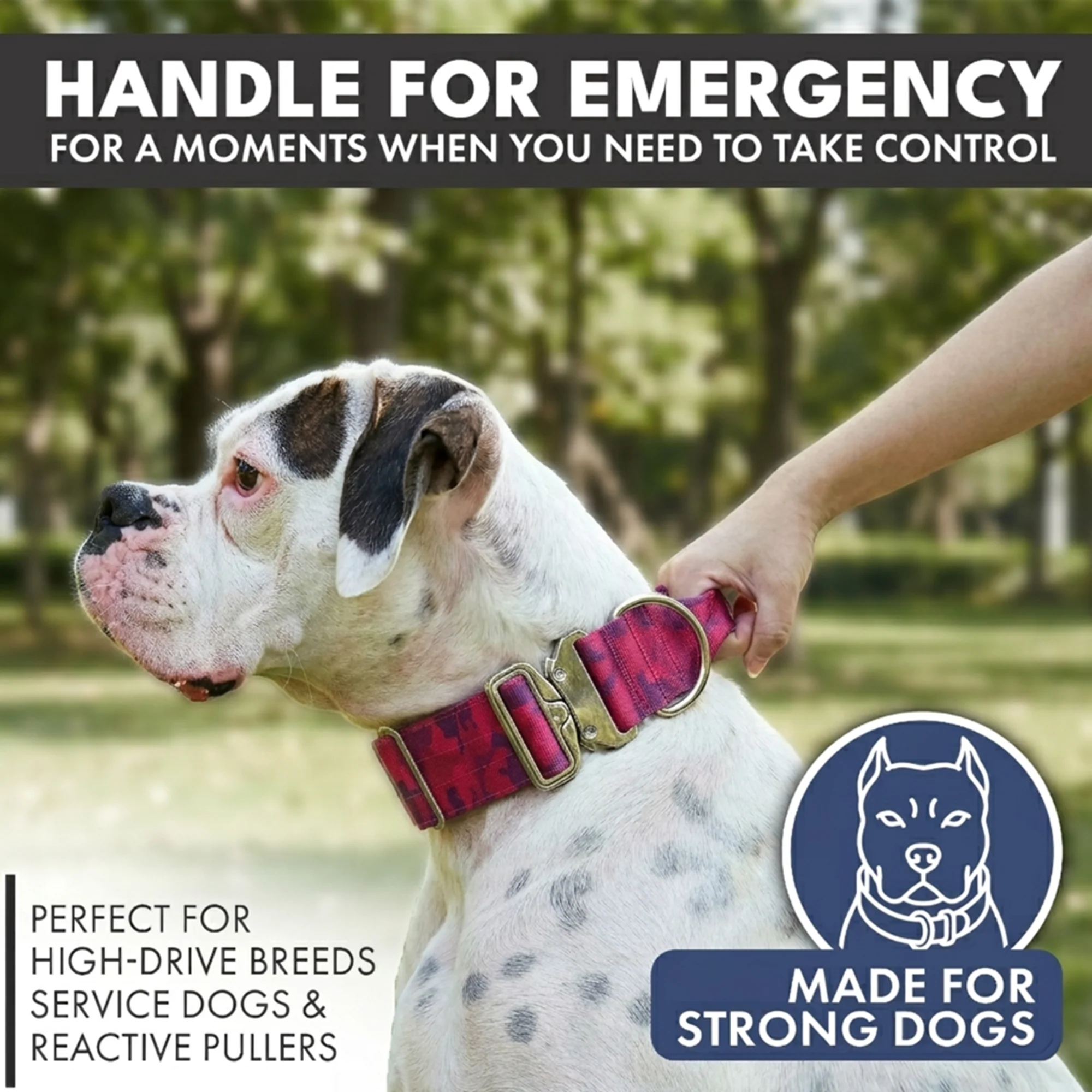 Comfort Control Collar and Multipurpose Leash Set - Fuchsia Camo - Image 2