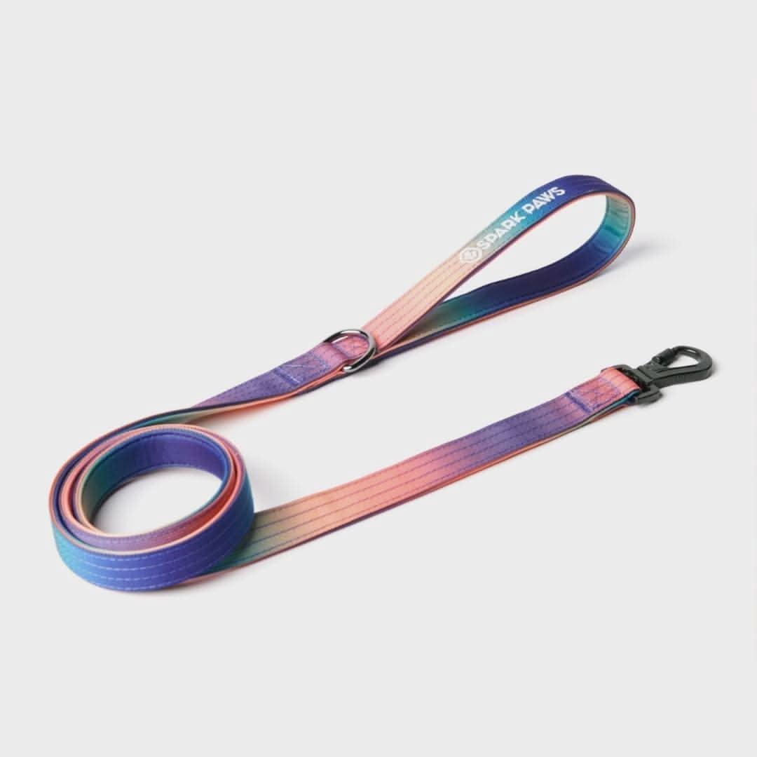Comfort Control Dog Leash (Multi Color) - Image 9