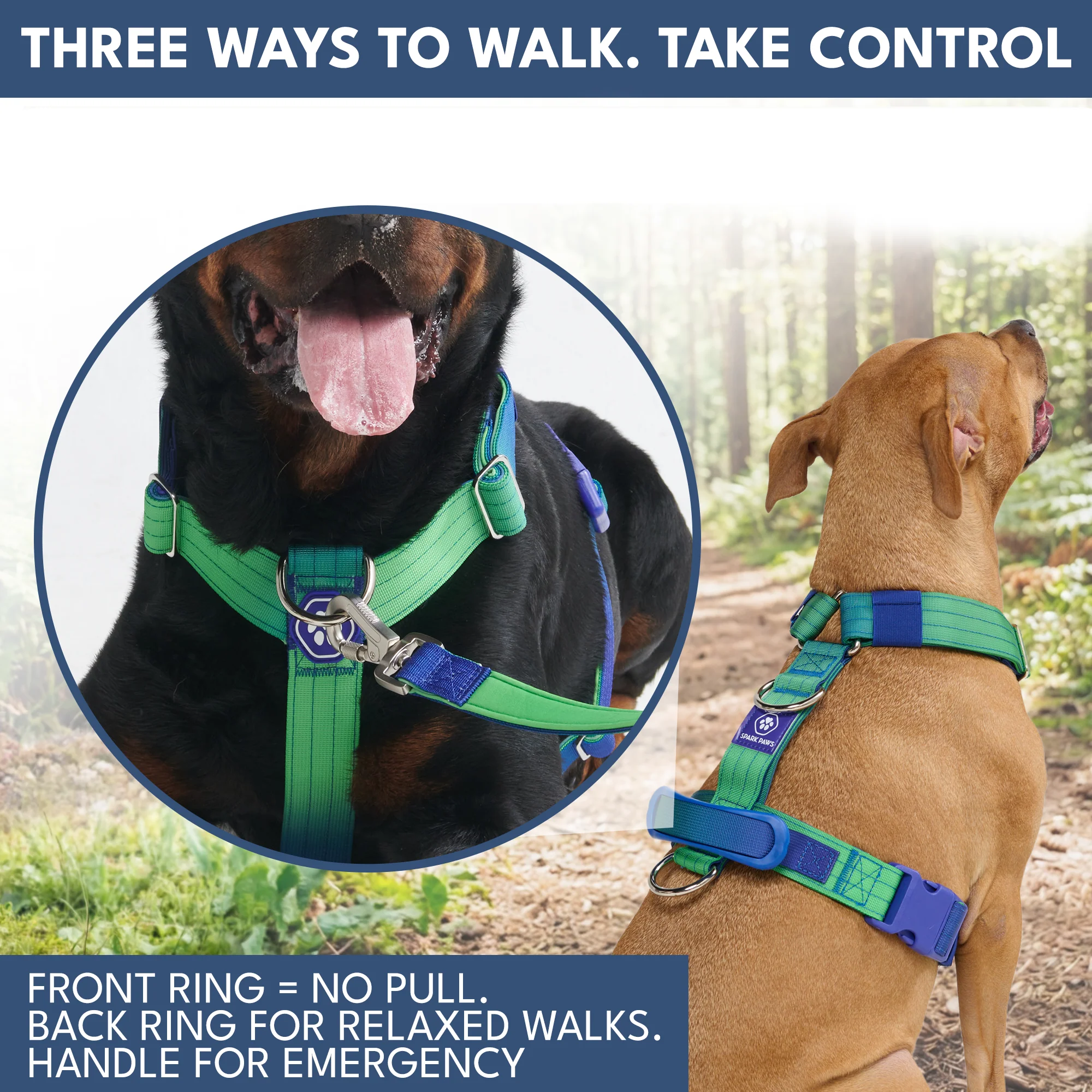 Comfort Control No-Pull Dog Harness and Multipurpose Leash Sets - Image 22