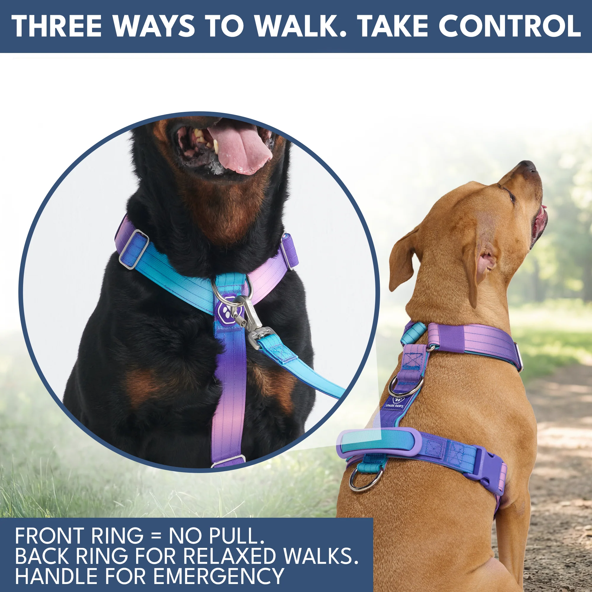 Comfort Control No-Pull Dog Harness and Multipurpose Leash Set - 90s Retro - Image 4