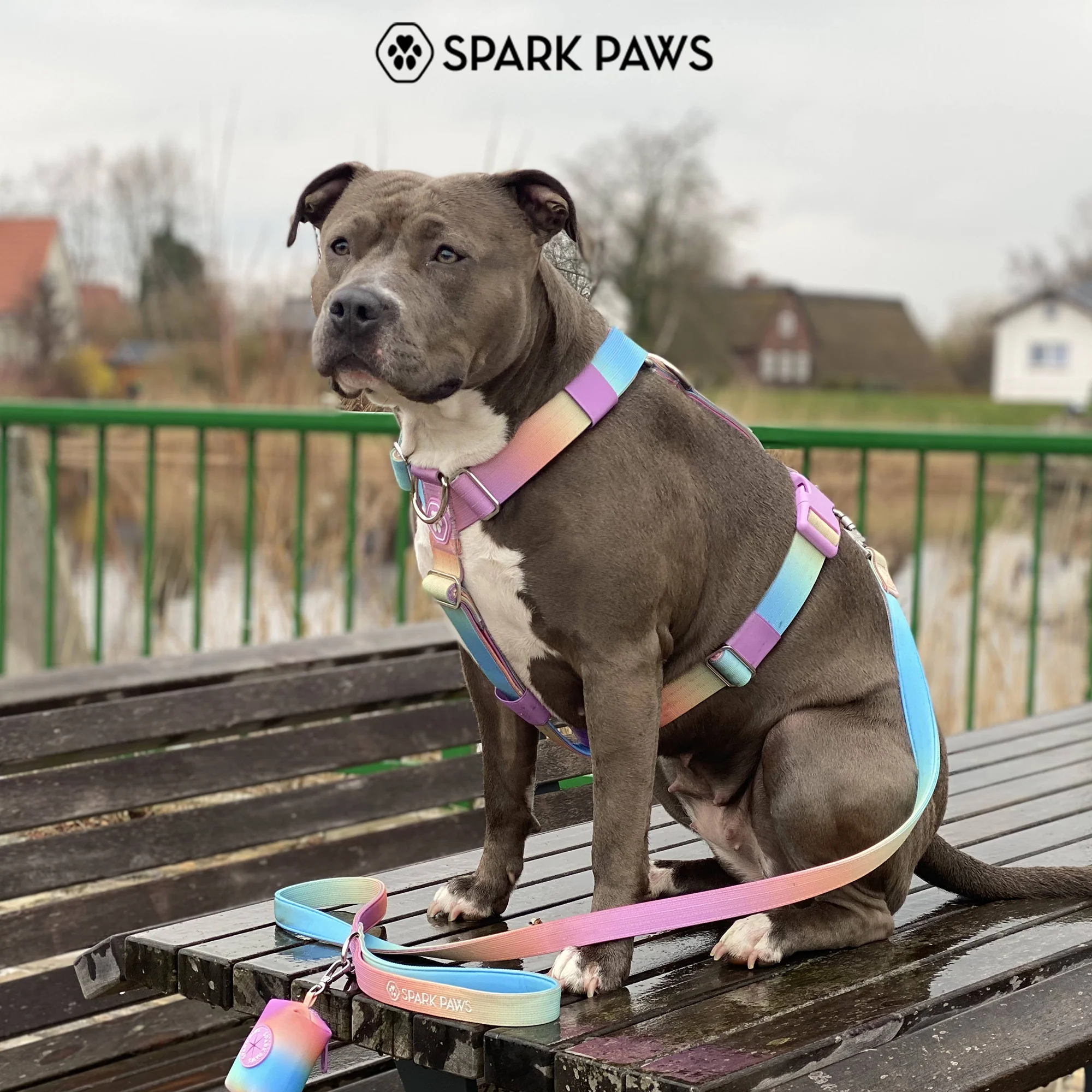 Comfort Control No-Pull Dog Harnesses - Image 16