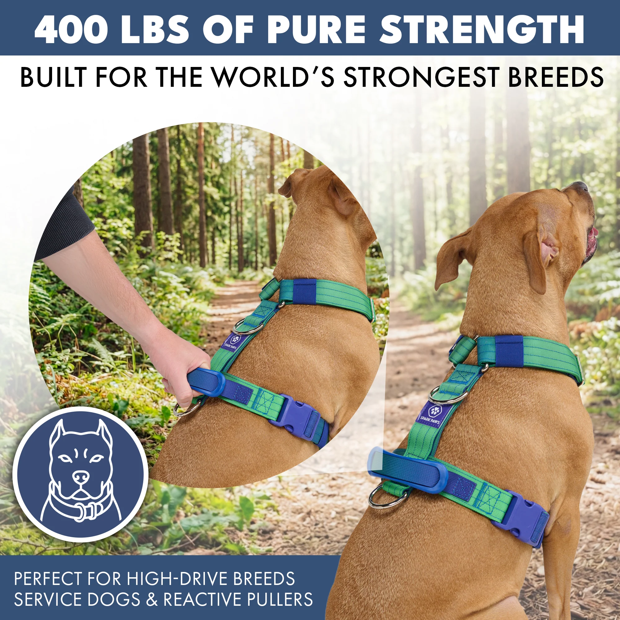 Comfort Control No-Pull Dog Harness - Lime Wave - Image 4