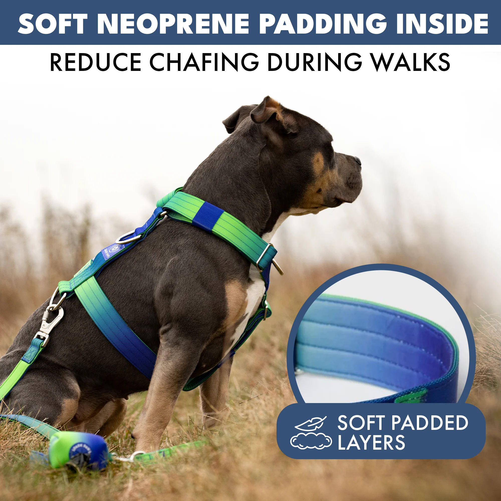Comfort Control No-Pull Dog Harness - Lime Wave - Image 5
