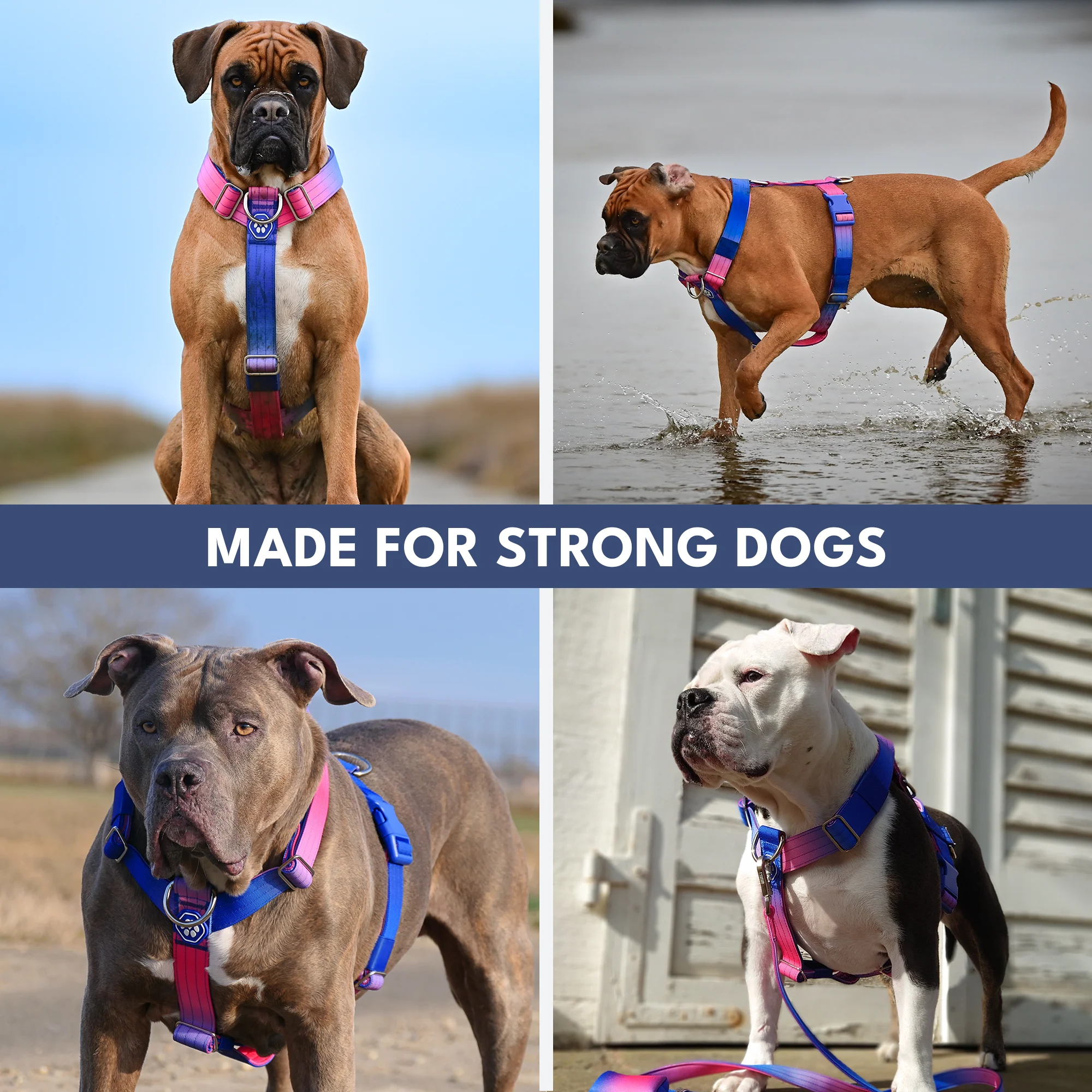Comfort Control No-Pull Dog Harnesses - Image 48