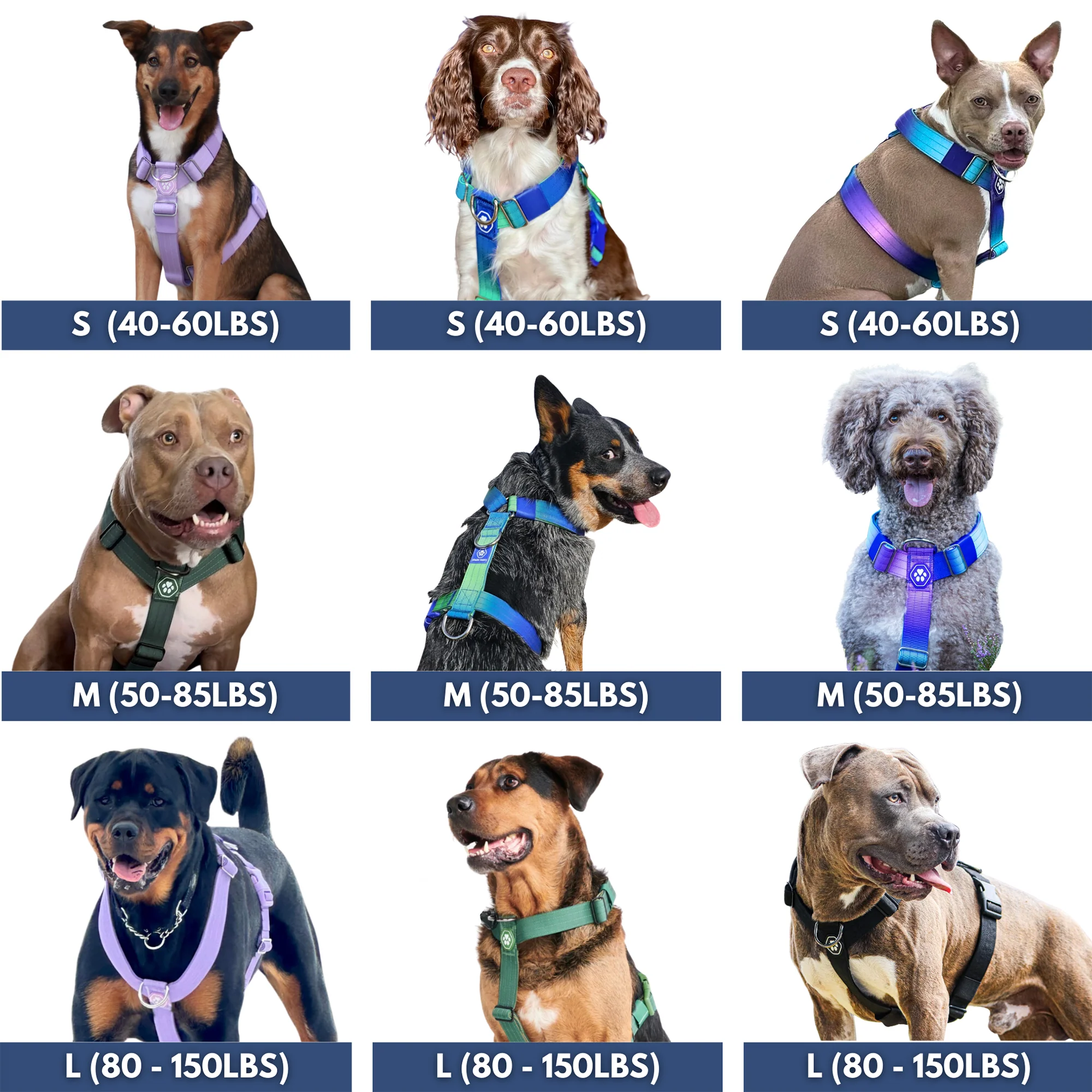 Comfort Control™ No-Pull Dog Harness - Lilac - Image 6