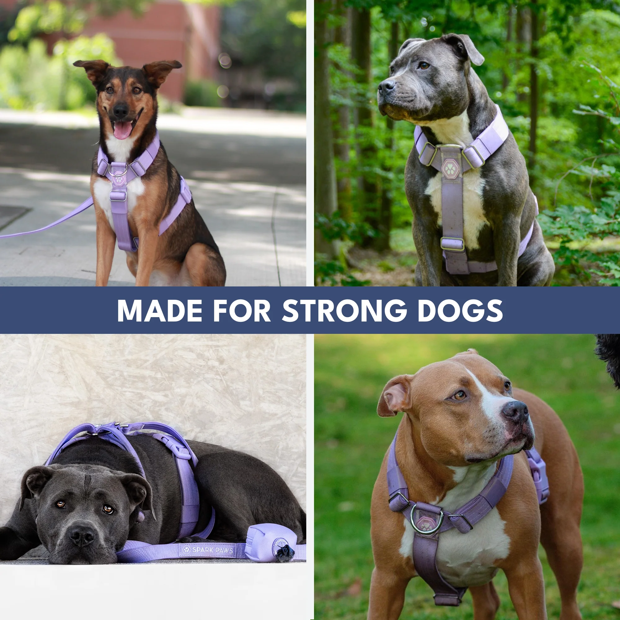 Comfort Control™ No-Pull Dog Harness - Lilac - Image 7