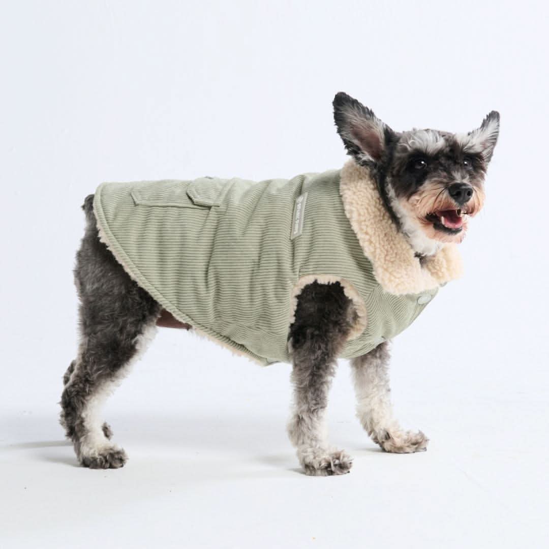 Corduroy Insulated Jacket - Mint - Image 3