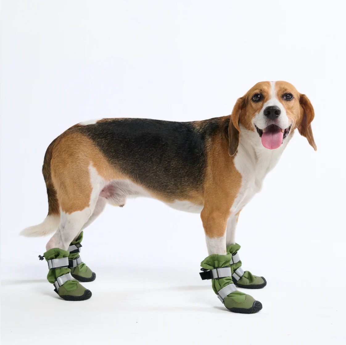 Dog Rainboots, Waterproof Dog Shoes - Green - Image 3
