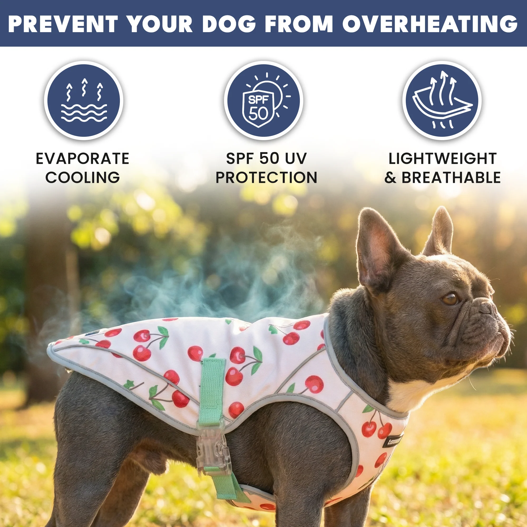 Chilltech™ Dog Cooling Vest 2 Pack - Image 26