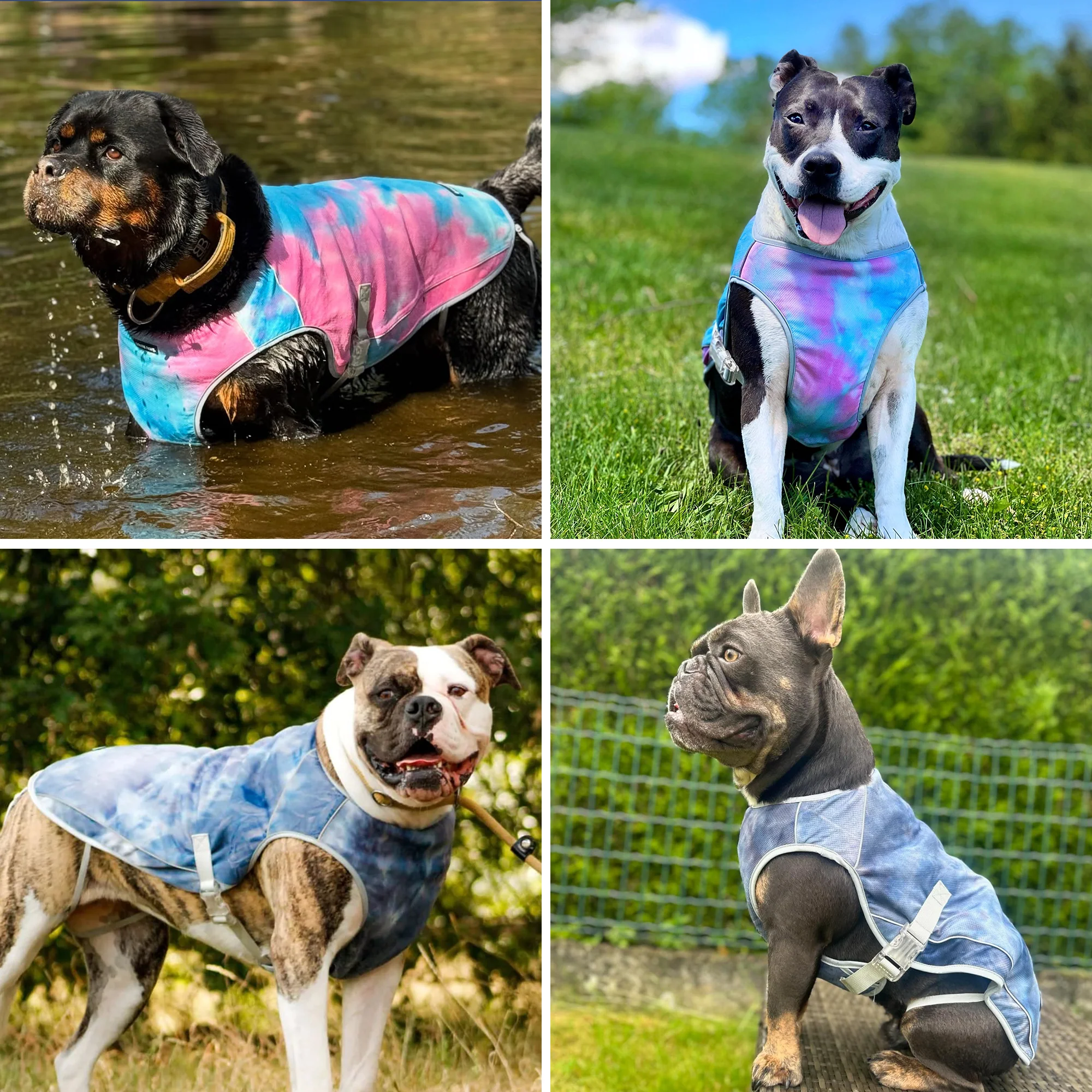 Chilltech™ Dog Cooling Vest 2 Pack - Image 6
