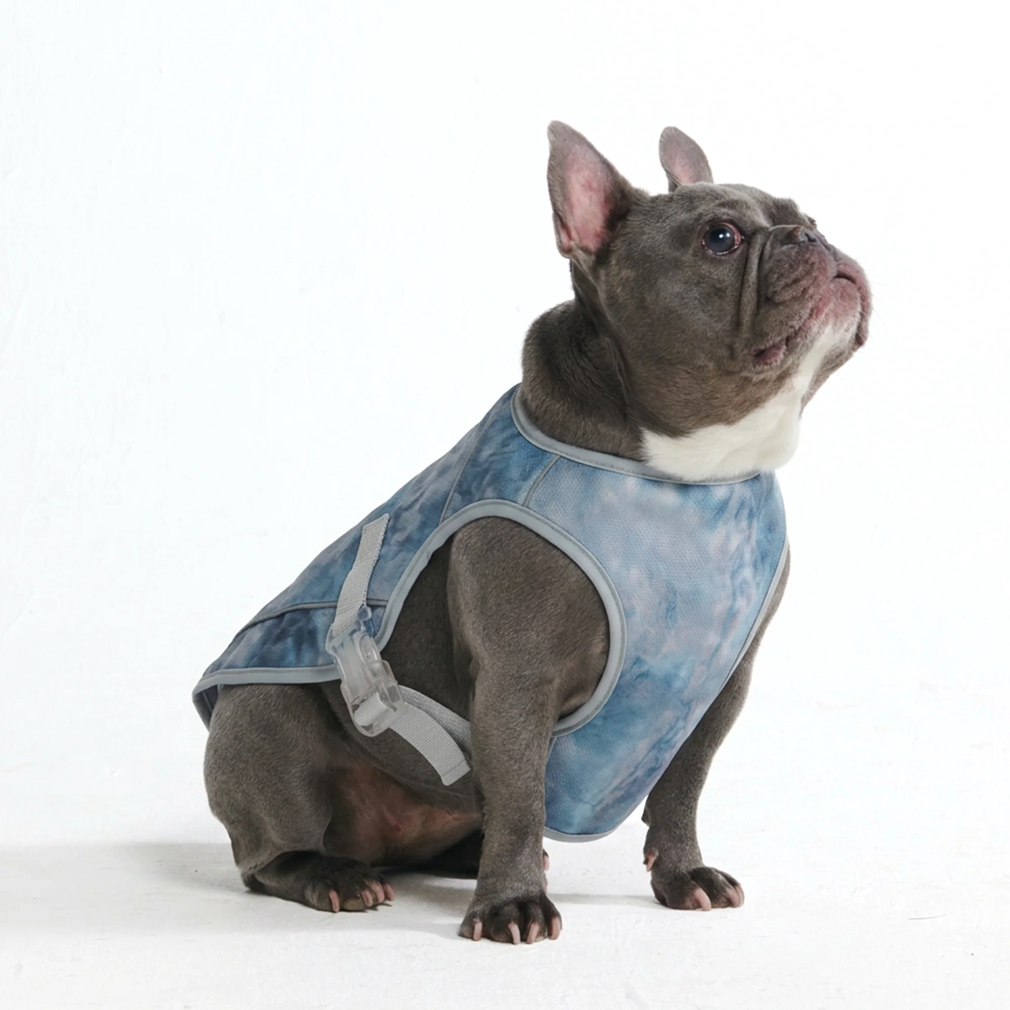 Dog Cooling Vest - Ice Blue - Image 4