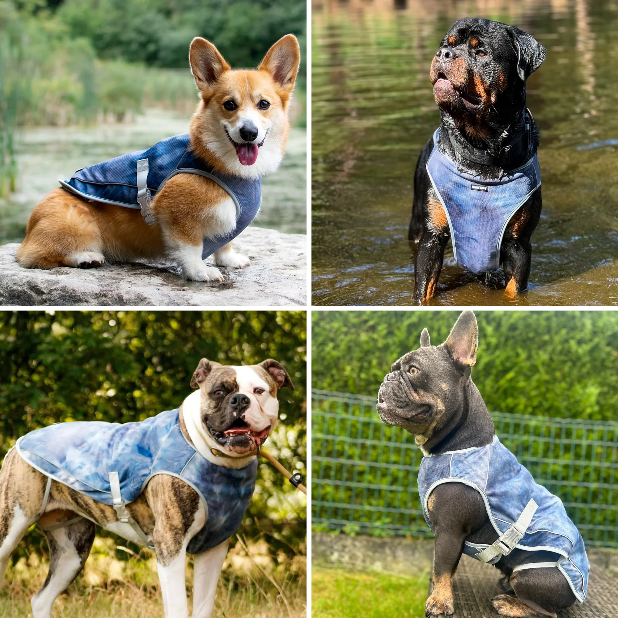 Dog Cooling Vest - Ice Blue - Image 8