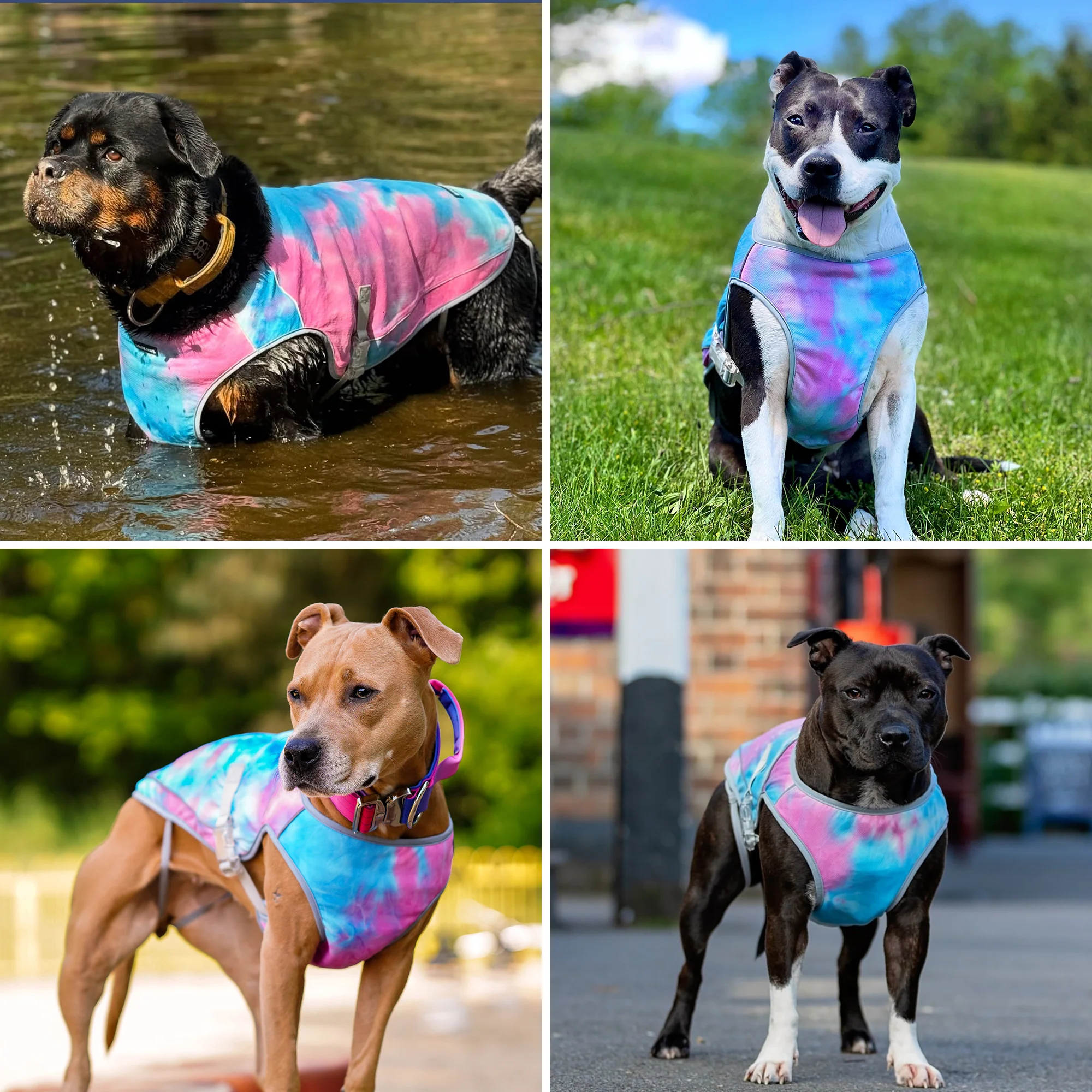 Chilltech™ Dog Cooling Vests - Image 9