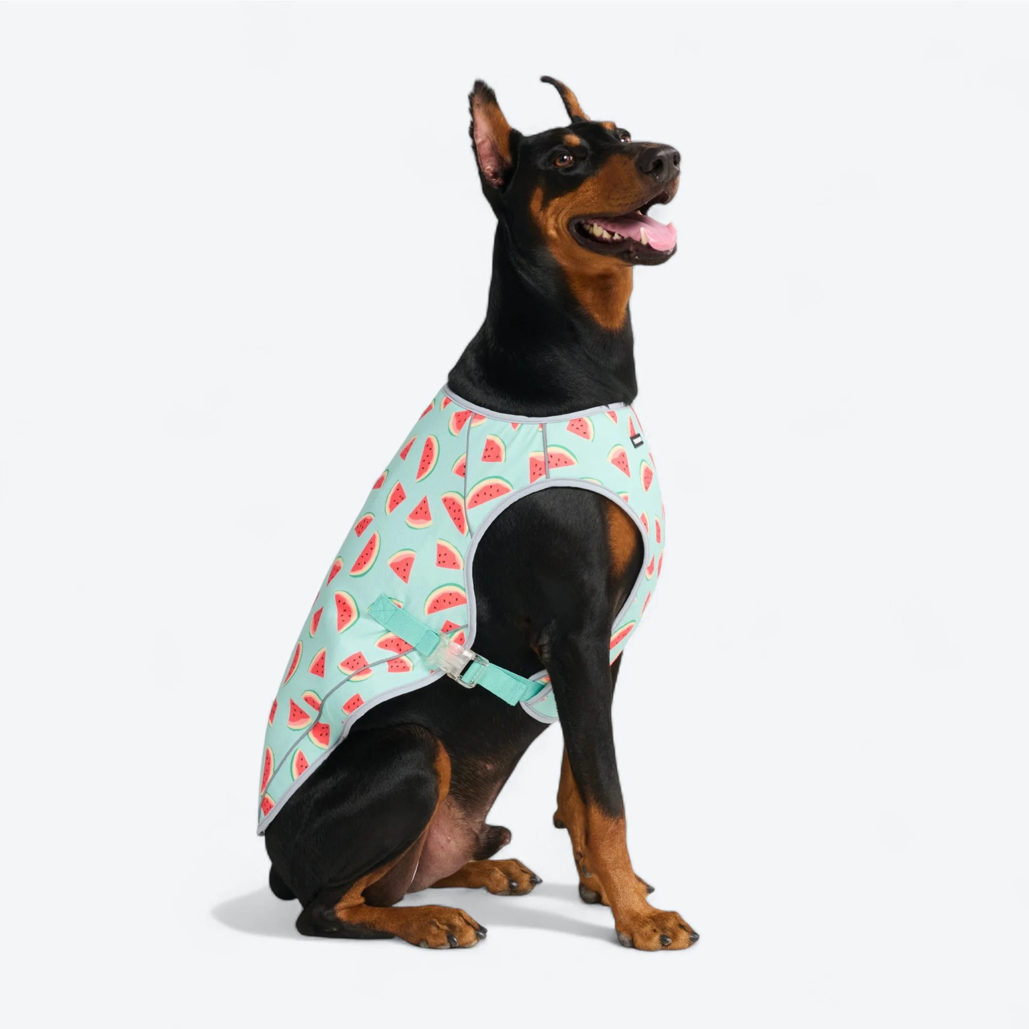 Dog Cooling Vest - Watermelon - Image 4