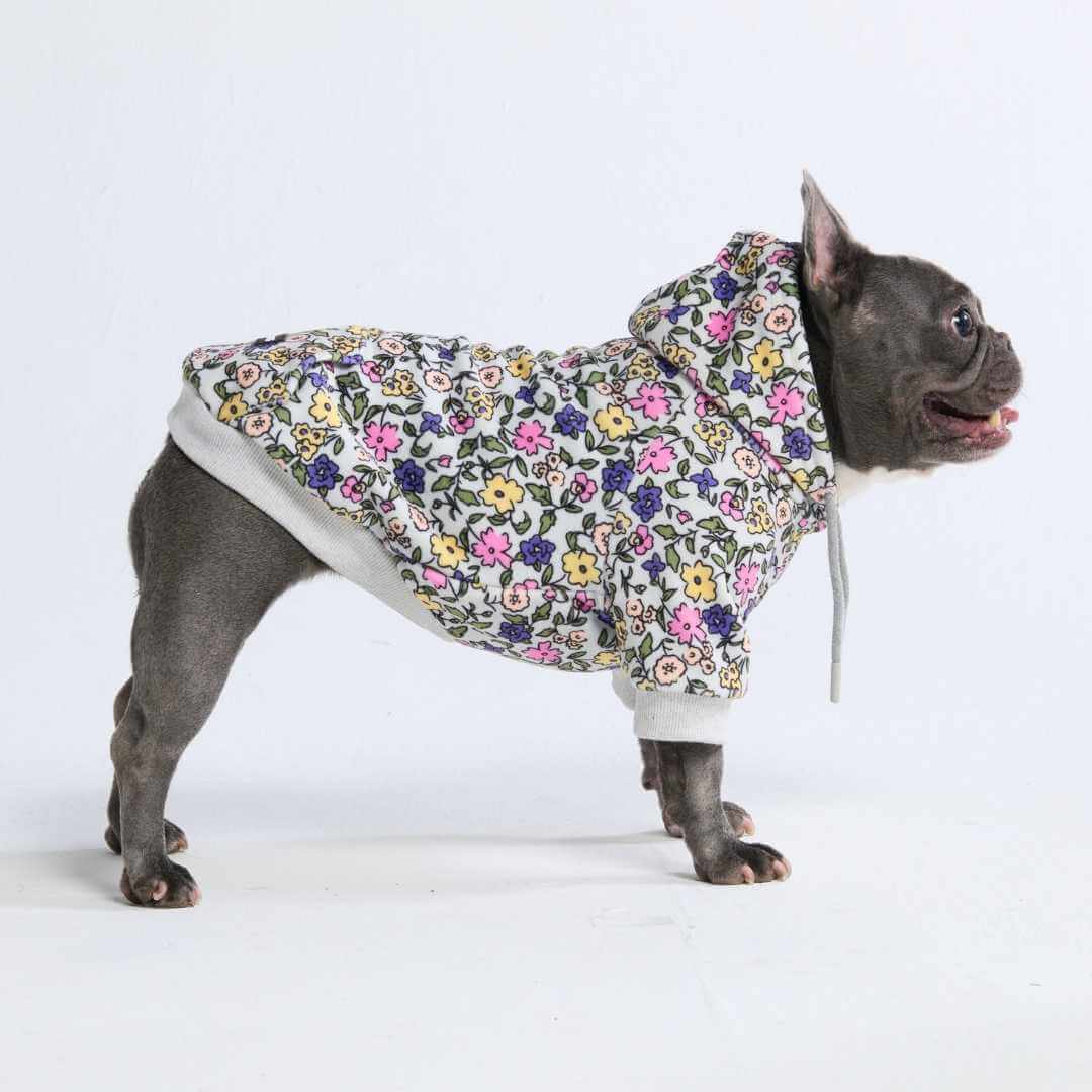 Dog Hoodie Prints - Image 48