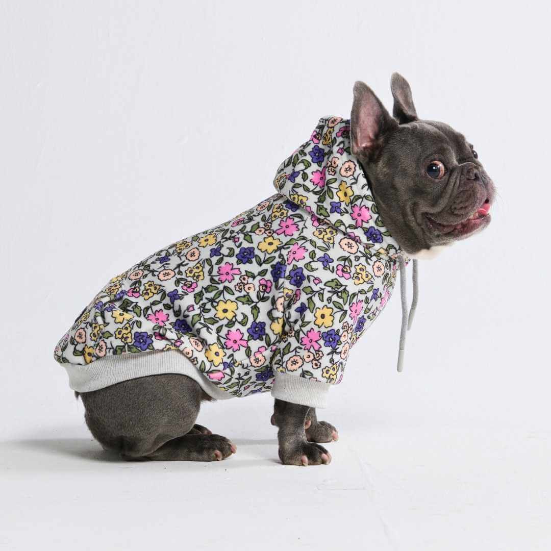 Dog Hoodie Prints - Image 51