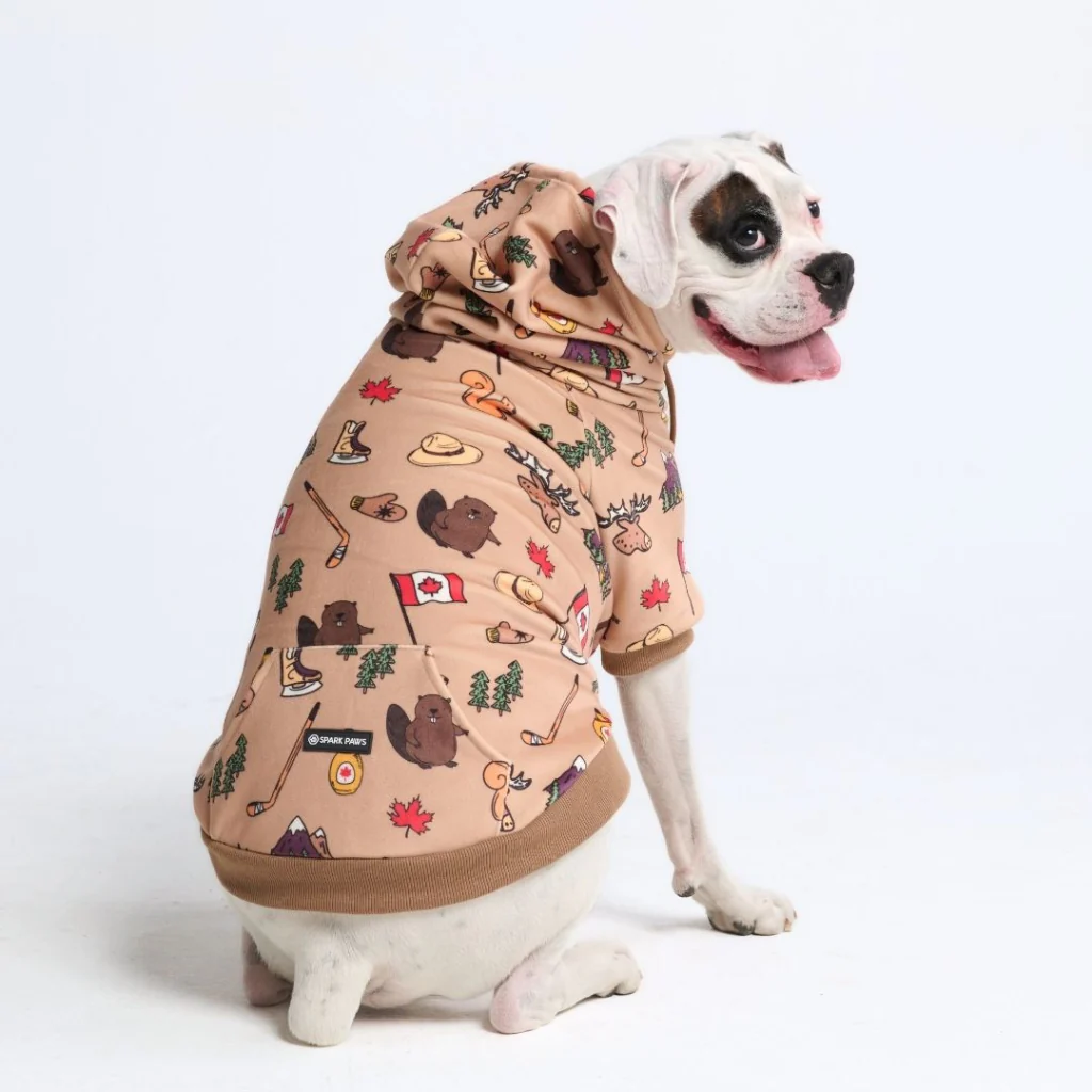 Around the World Dog Hoodies - Image 24