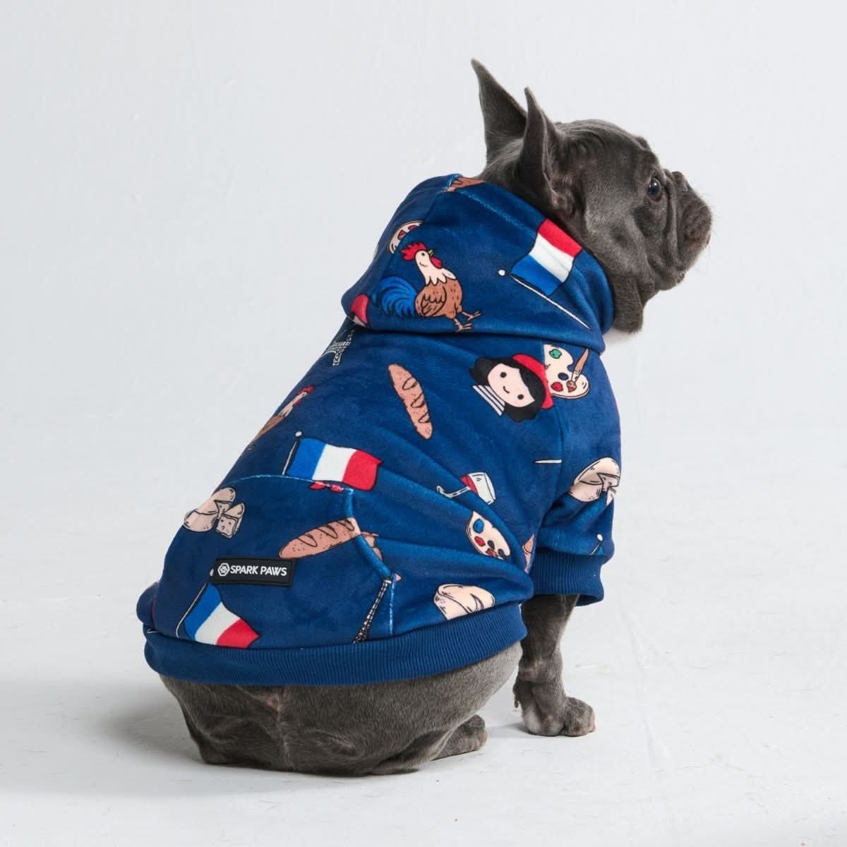 Around the World Dog Hoodies - Image 79