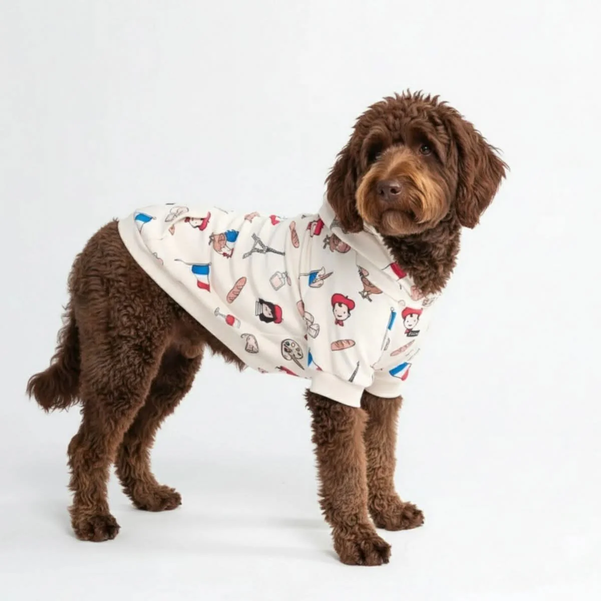 Around the World Dog Hoodies - Image 83