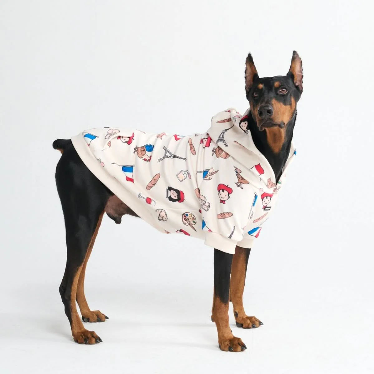 Around the World Dog Hoodies - Image 90