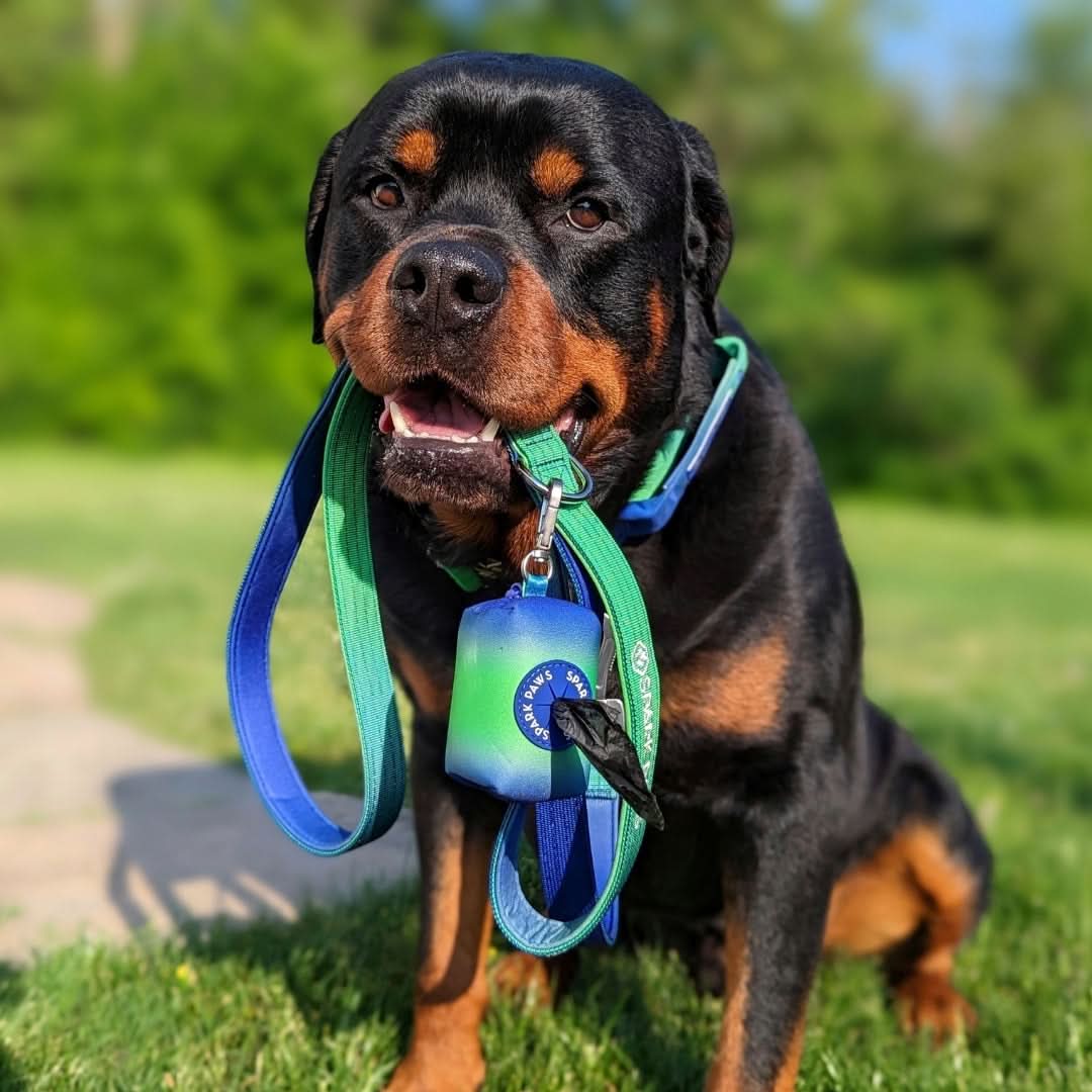 Leash and Poop Bag Holder Set - Image 15