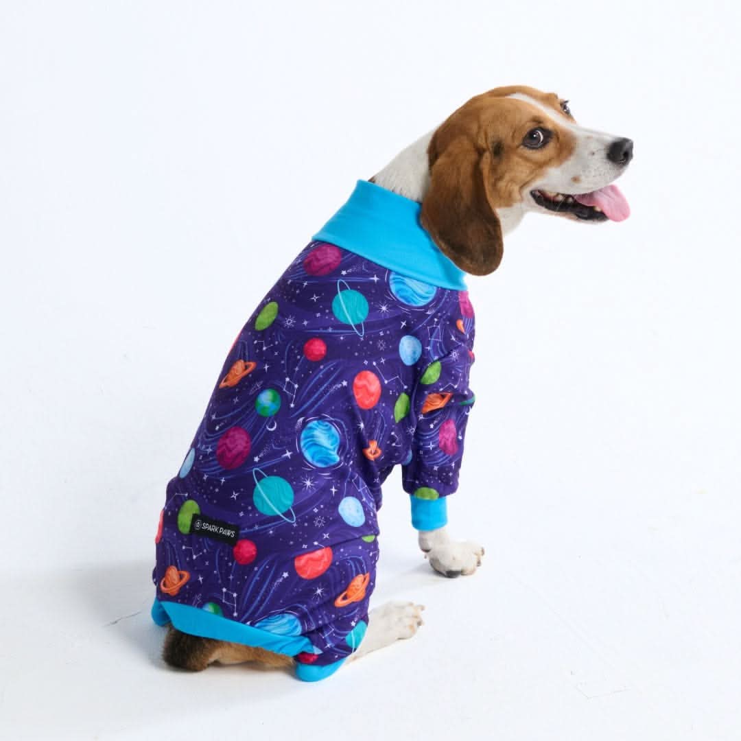 Dog Pajama Prints - Image 15