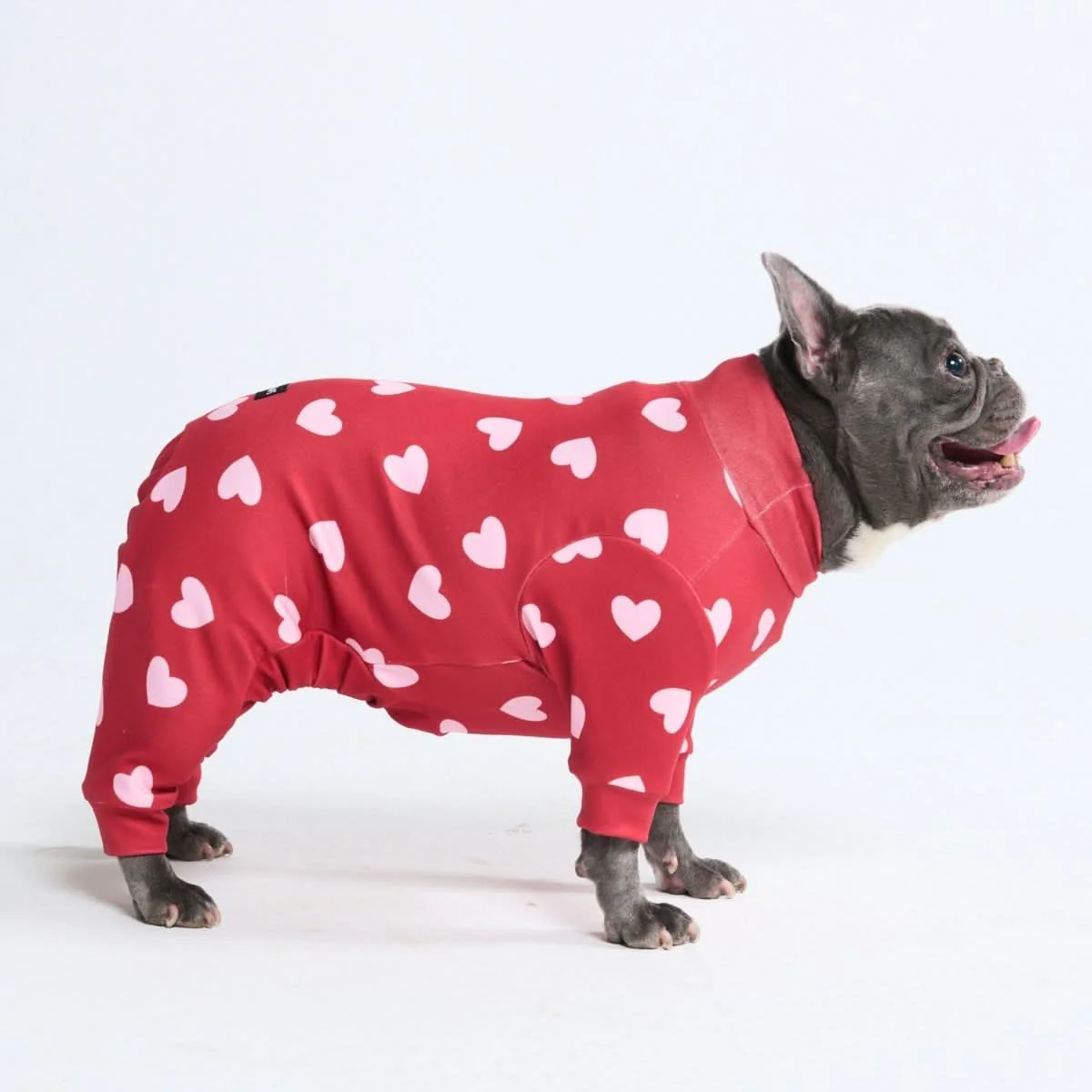 Dog Pajama Prints - Image 20