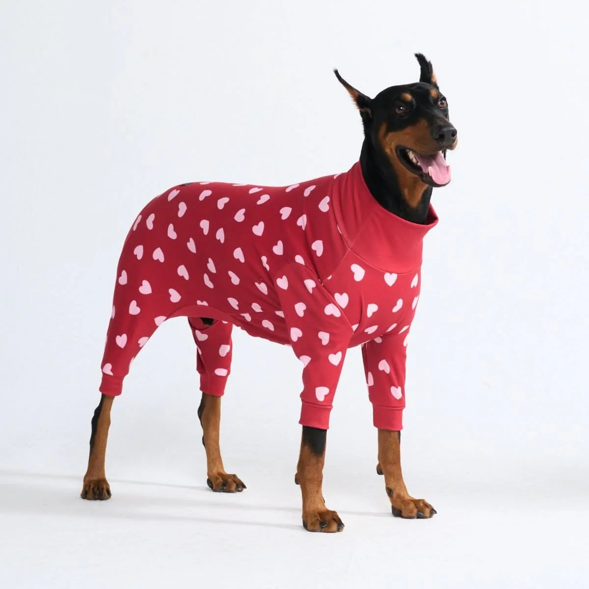 Dog Pajama Prints - Image 22