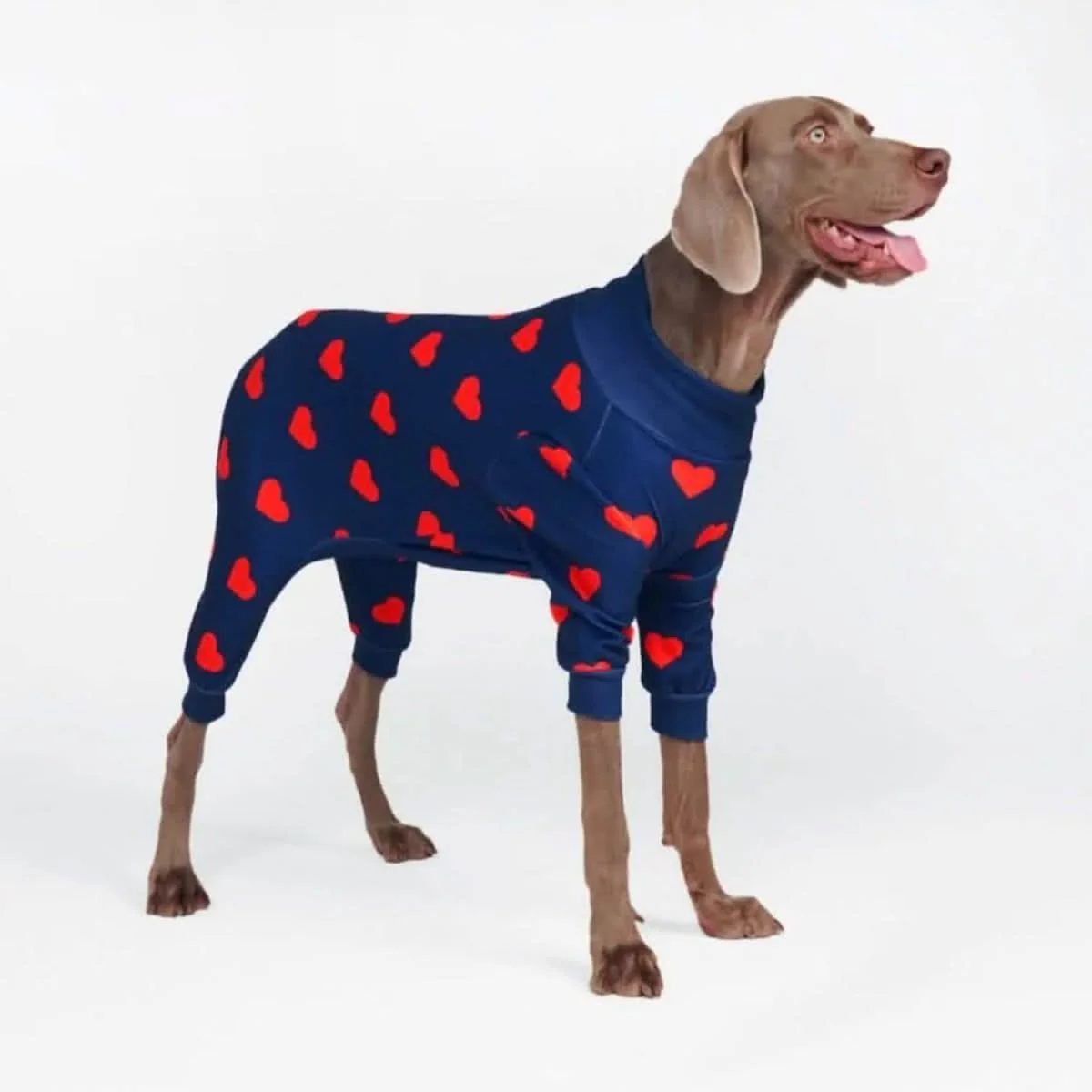 Dog Pajama Prints - Image 34
