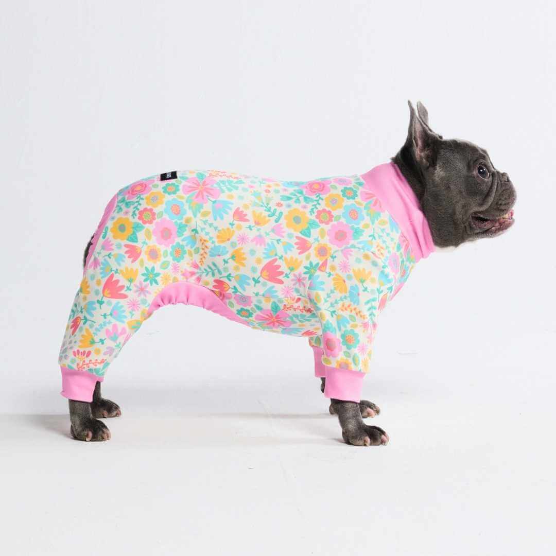 Dog Pajama Prints - Image 45