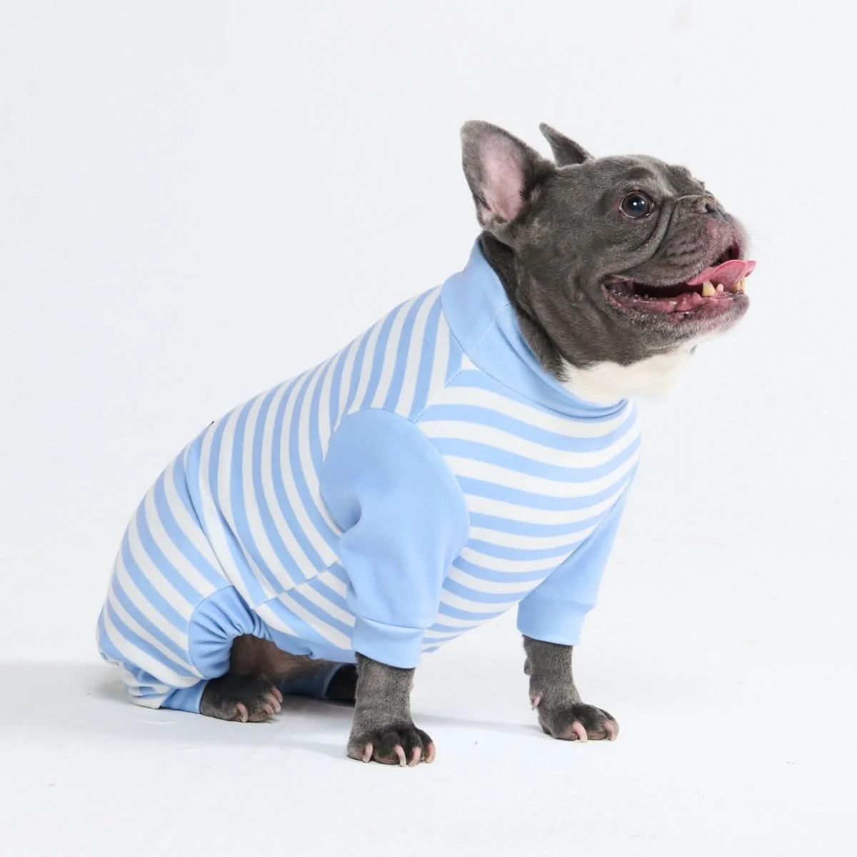 Dog Pajama Prints - Image 61