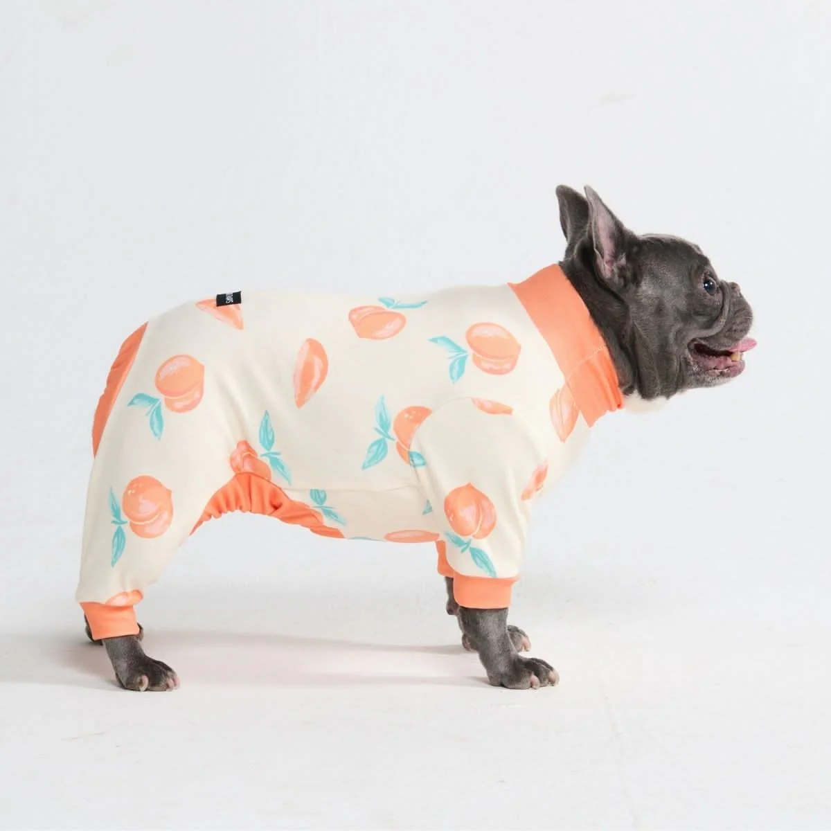 Dog Pajama Prints - Image 64