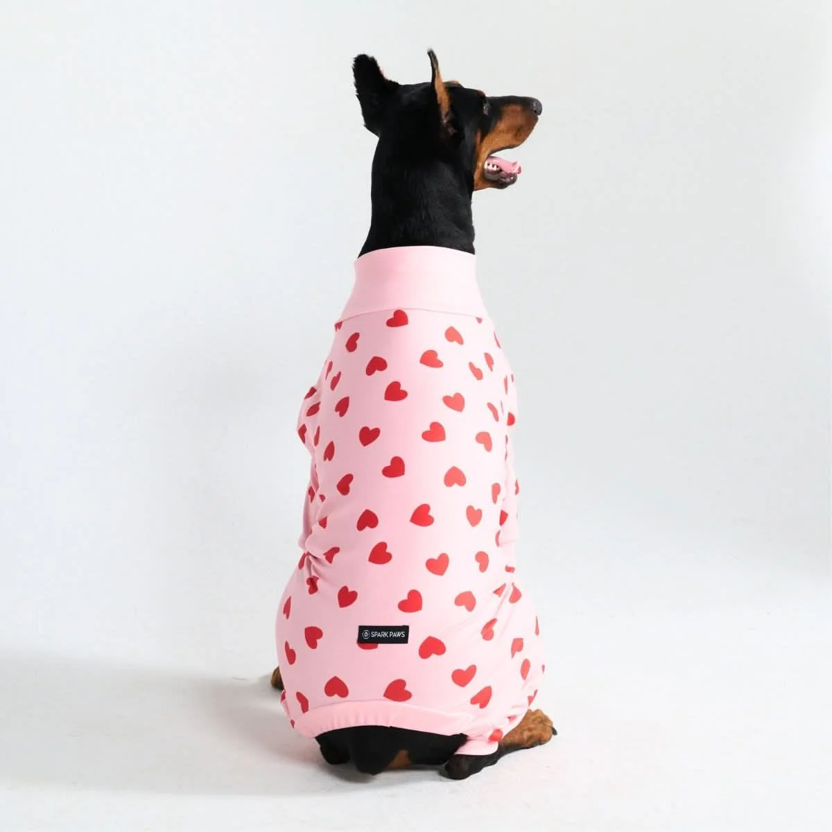 Dog Pajama Prints - Image 71
