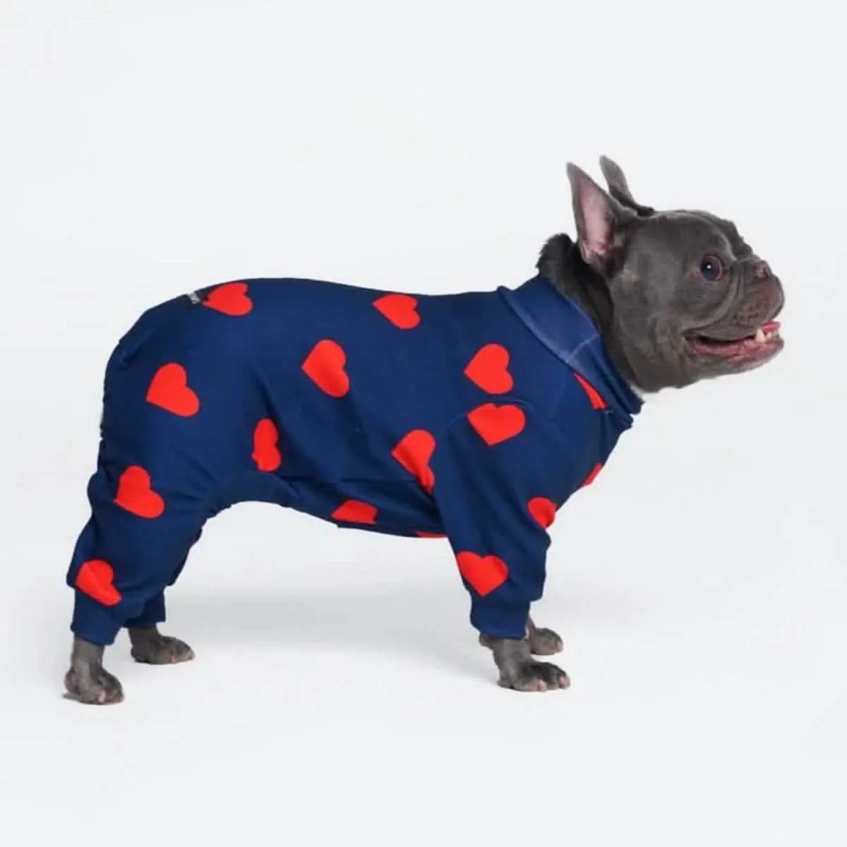 Dog Pajama - Hearts - Image 5