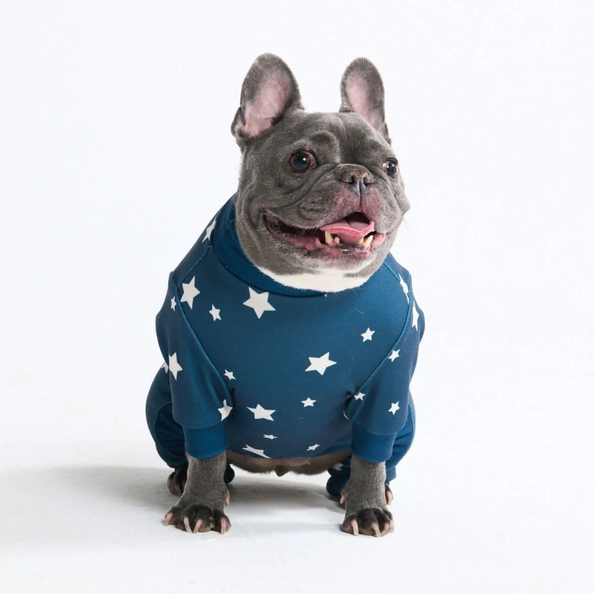 Dog Pajama Prints - Image 16