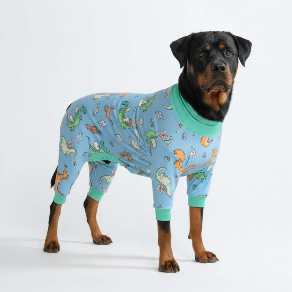 Dog Pajama Prints - Image 31