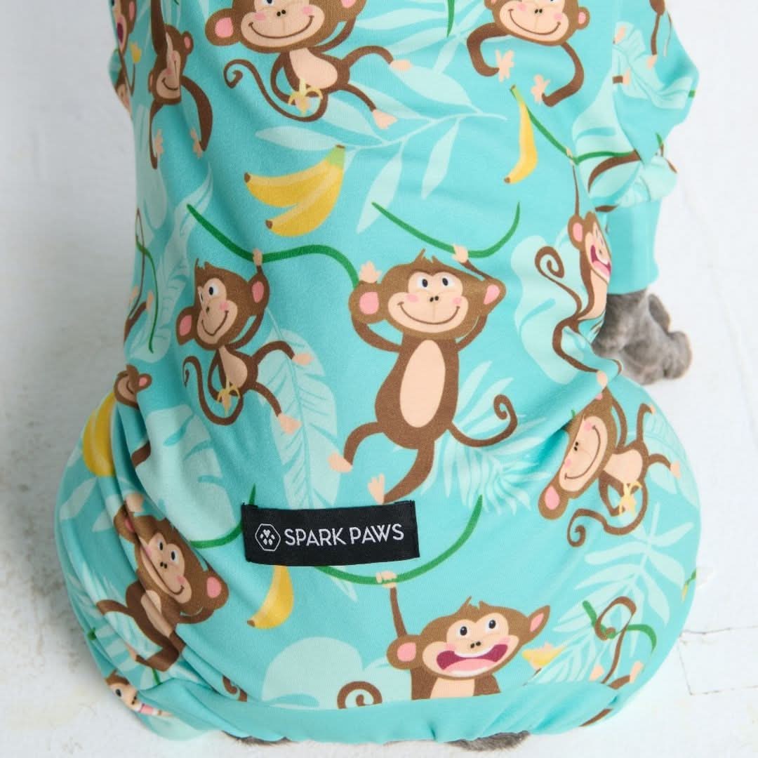 Dog Pajama Prints - Image 45