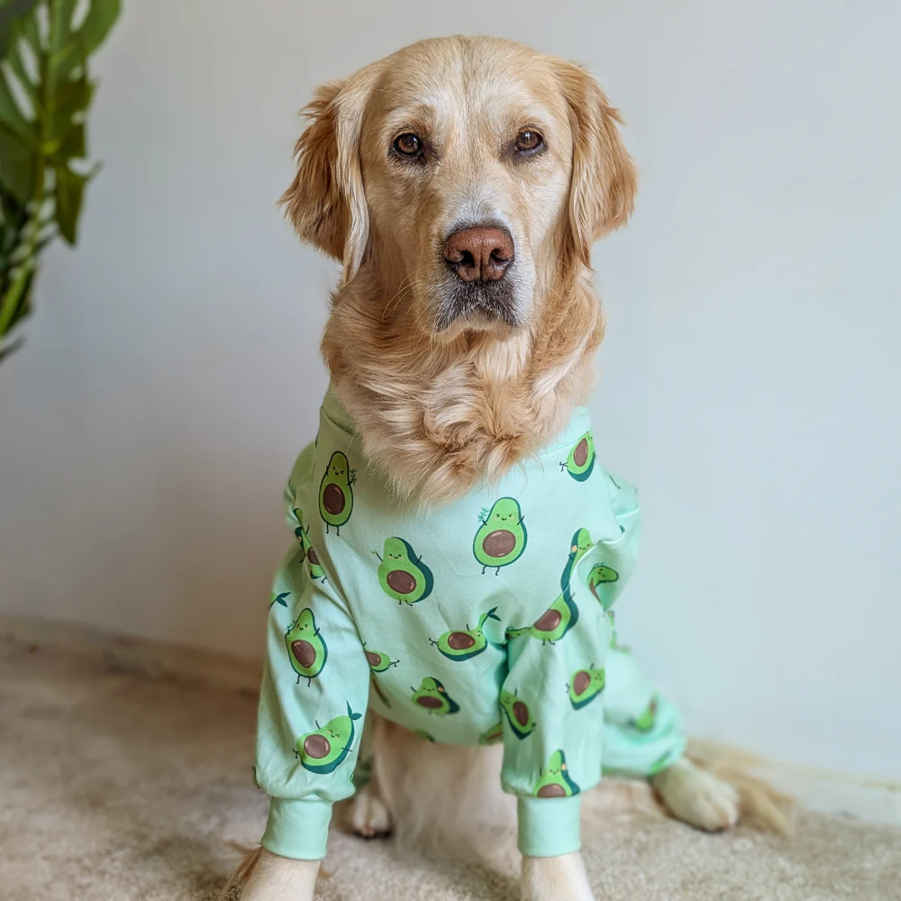 Dog Pajama Prints - Image 61