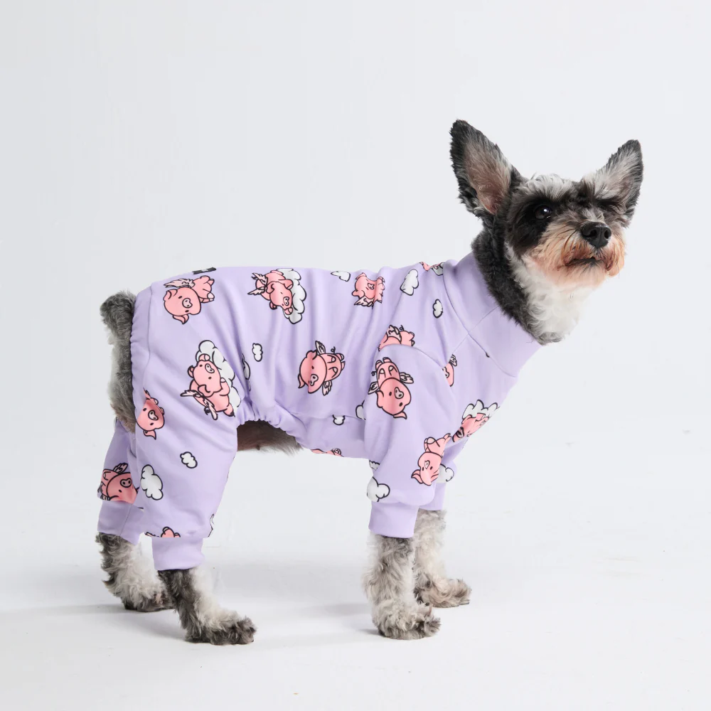 Dog Pajama - When Pigs Fly - Image 7