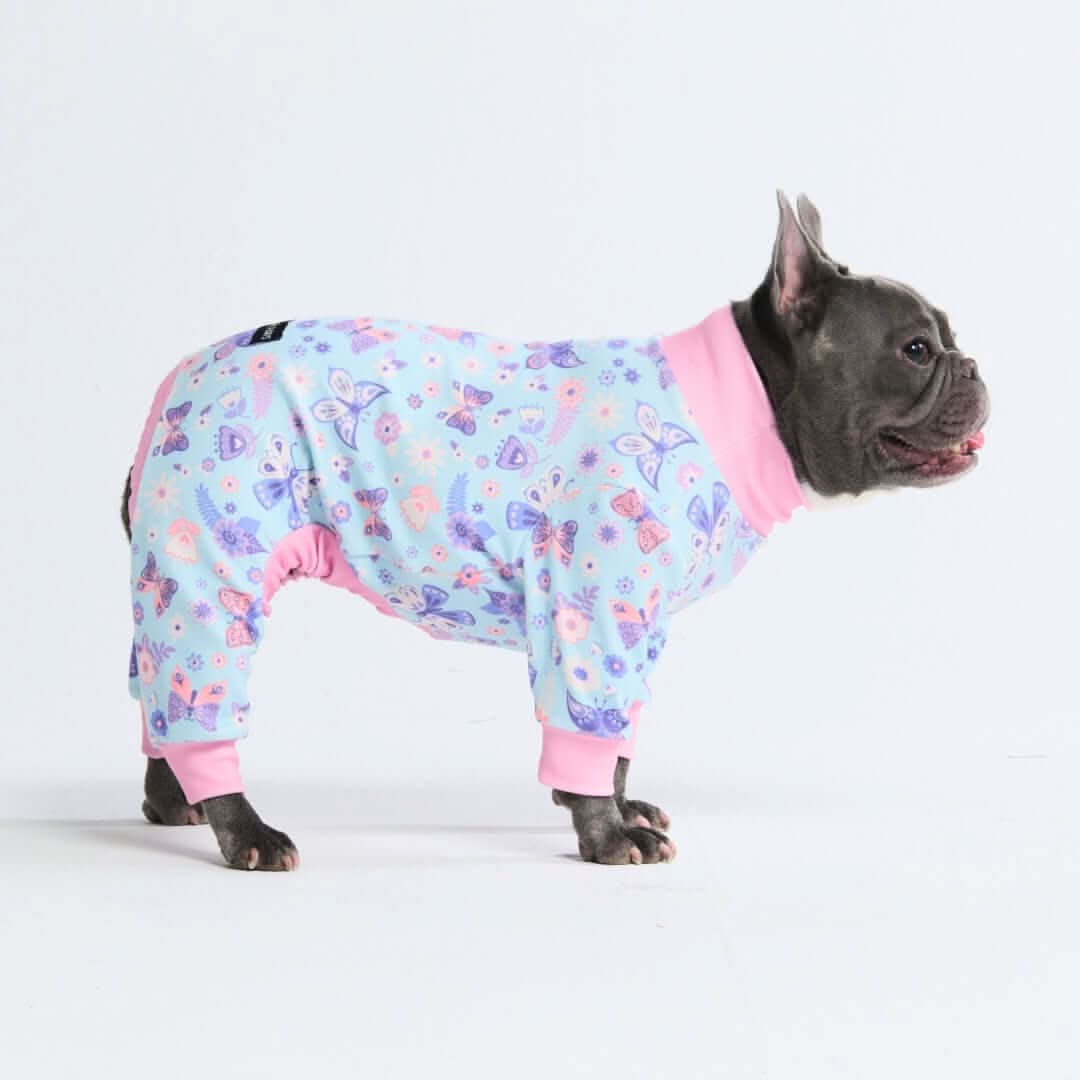 Dog Pajama Prints - Image 39
