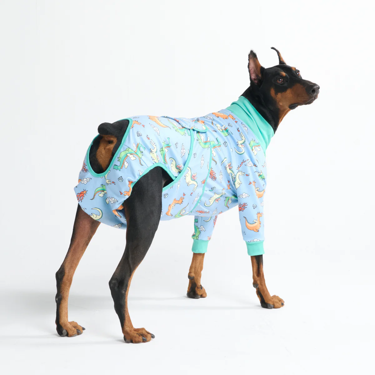 Dog Surgical Suit - Dragons - Image 10