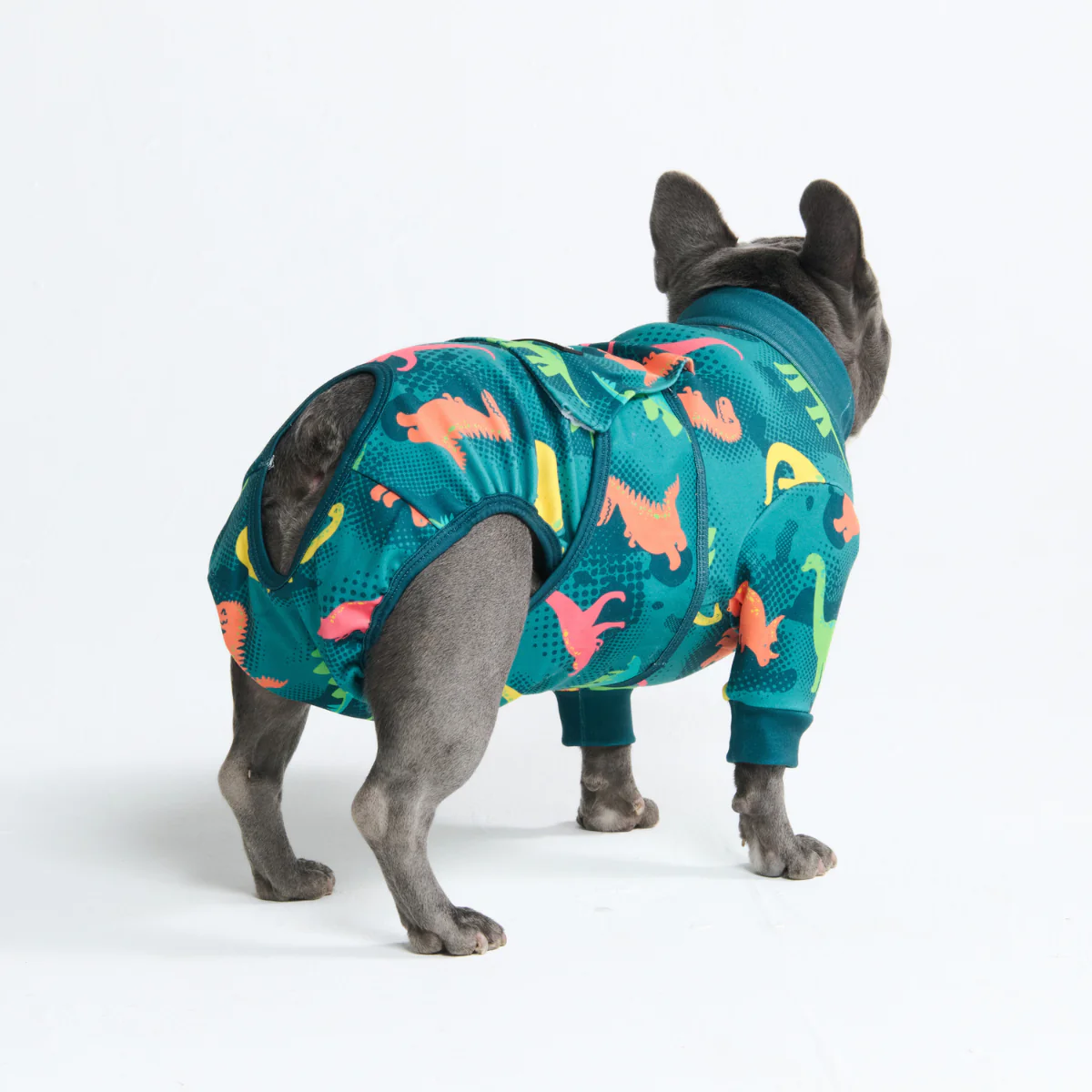 Dog Surgical Suit - Image 11